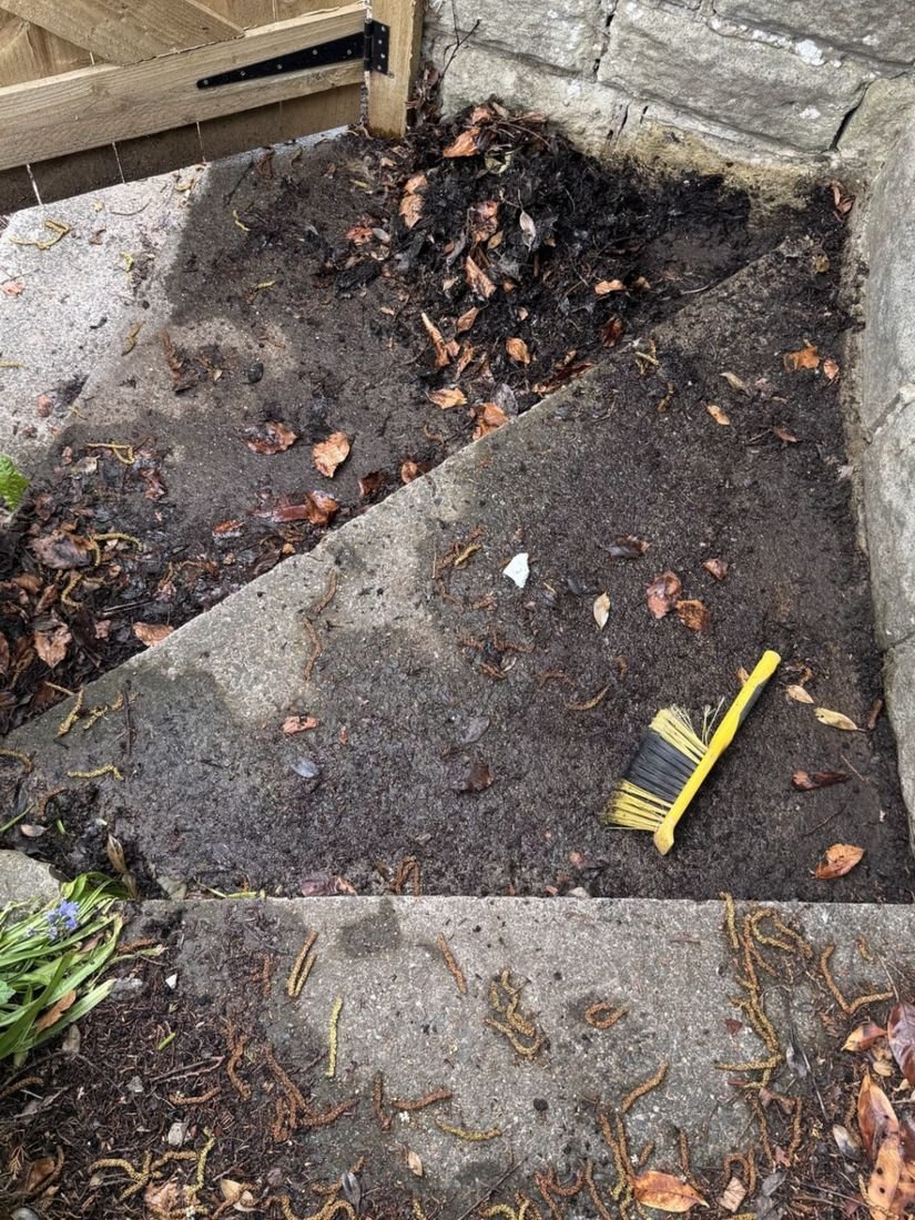Garden steps – Nunthorpe before cleaning