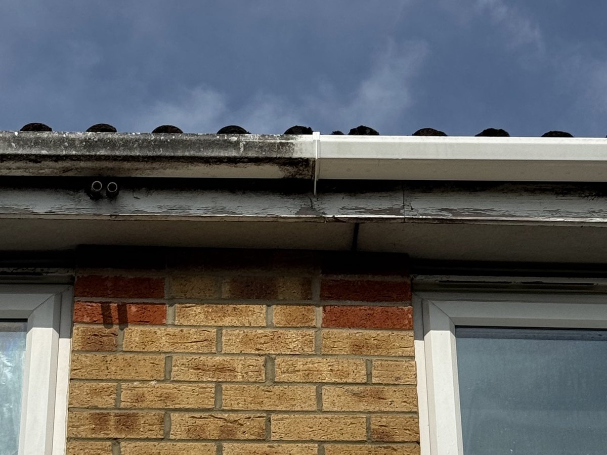 Fascia and gutter half cleaned in Ingleby Barwick, showing the difference