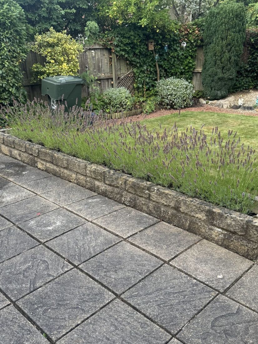 Patio – Coulby Newham before cleaning