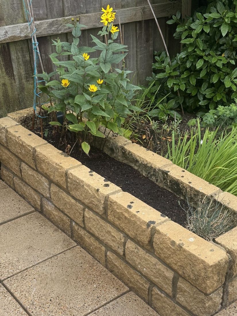 Patio after cleaning in Coulby Newham by MMC Exterior Cleaning