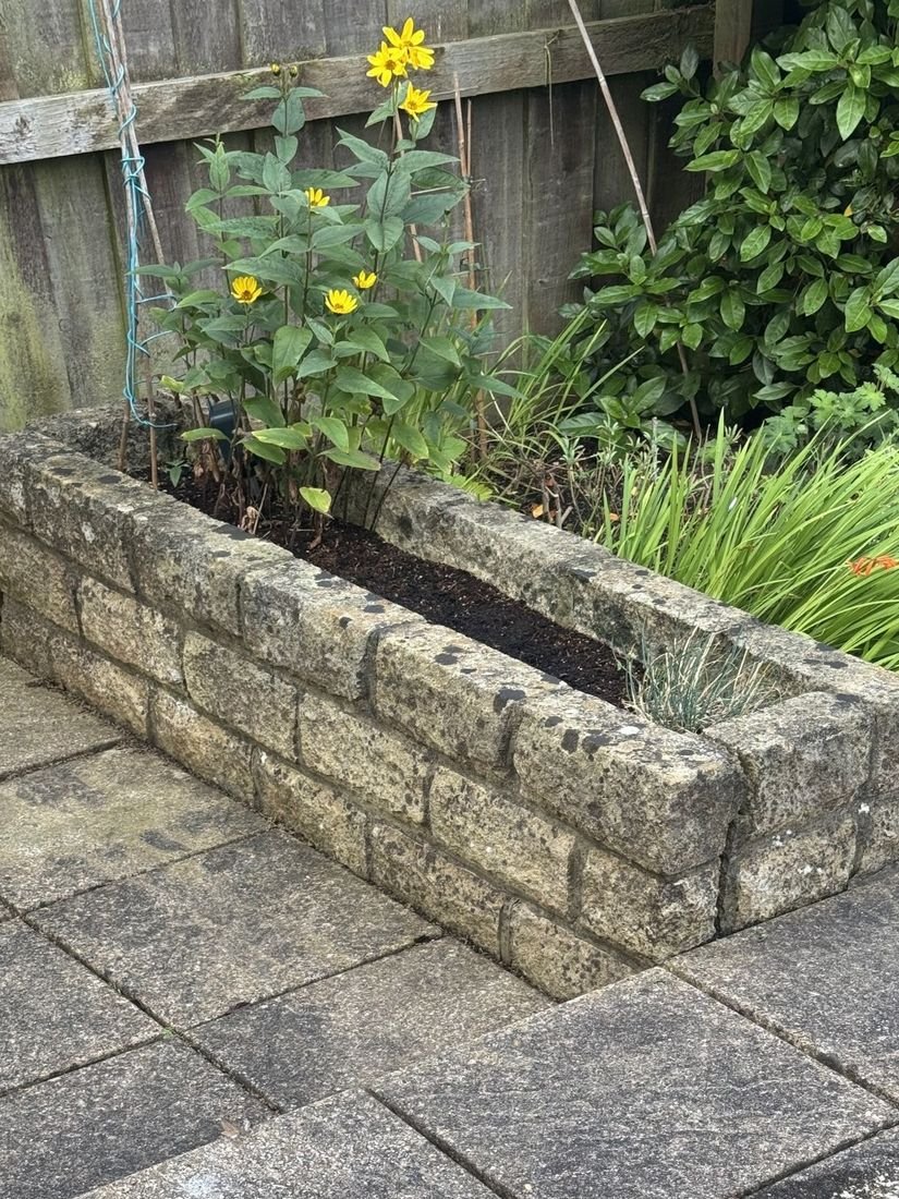Patio & planter – Coulby Newham before cleaning