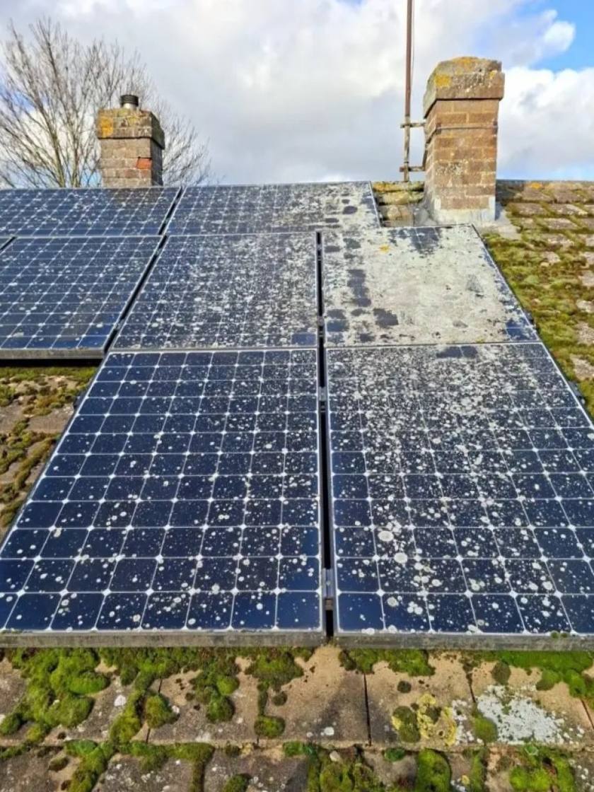 Solar panels – lichen and dirt cleaned off before cleaning