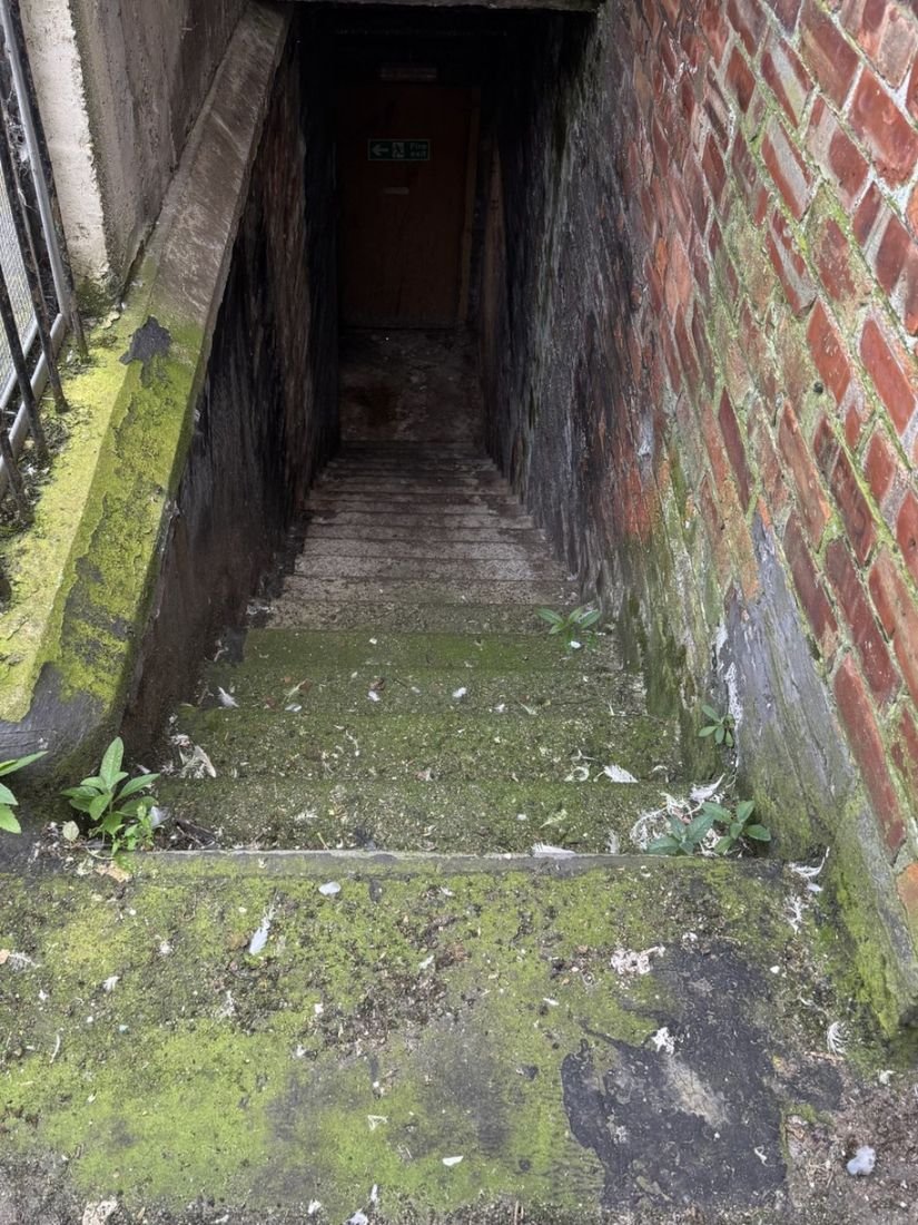 Basement steps – Redcar before cleaning